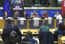 Συγκλόνισαν το Ευρωκοινοβούλιο συγγενείς θυμάτων γυναικοκτονίας στην Ελλάδα