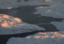 Γροιλανδία: «Δεν είναι προς πώληση» διαμηνύει η Δανία – Αντιδράσεις για τις δηλώσεις Τραμπ