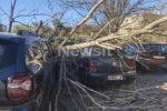 Μαρούσι: Δέντρο ξεριζώθηκε και καταπλάκωσε σταθμευμένα αυτοκίνητα εξαιτίας των ισχυρών ανέμων