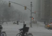 ΗΠΑ: Δεκάδες νεκροί από την κακοκαιρία «Fern» – Πολικές θερμοκρασίες & προβλήματα