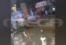 Κρήτη: 18 χρόνια κάθειρξη στον 45χρονο οδηγό για το τροχαίο δυστύχημα στα Χανιά που στοίχισε τη ζωή τον 21χρονο Παναγιώτη