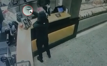 Στα χέρια της ΕΛ.ΑΣ. οι δύο νεαροί που είχαν σκορπίσει τον τρόμο στα δυτικά προάστια – Βίντεο ντοκουμέντο