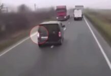 Ρουμανία: Επτά νεκροί φίλαθλοι του ΠΑΟΚ σε τροχαίο σοκ στην Τιμισοάρα