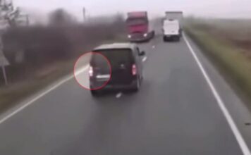 Ρουμανία: Επτά νεκροί φίλαθλοι του ΠΑΟΚ σε τροχαίο σοκ στην Τιμισοάρα