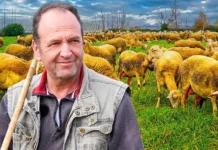 Άκτιο: Σπούδασε… αλλά η ευτυχία ήταν στα πρόβατα – Ο τελευταίος μετακινούμενος κτηνοτρόφος (video)