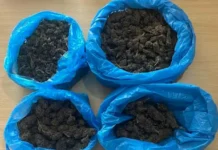 Συνελήφθη άνδρας για διακίνηση ναρκωτικών στην Ηλεία