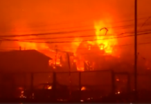 Χιλή: Ανεξέλεγκτη δασική πυρκαγιά – Τουλάχιστον 16 νεκροί