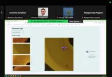 Περιφέρεια Δυτικής Ελλάδας: Διαδικτυακή συνάντηση για το έργο Ambitious