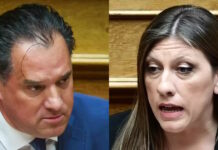 Ο Άδωνις Γεωργιάδης για νέα καταγγελία πρώην συνεργάτη της Ζωής Κωνσταντοπούλου: «Στοχοποίηση και απλήρωτη εργασία»