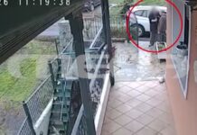 Οργανωμένη συμμορία με γυναίκα «δόλωμα» έκλεβε κοσμήματα από ανυποψίαστους πολίτες