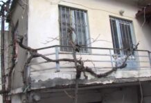 Κρήτη: Έσφαξε τον αδερφό του για ασήμαντη αφορμή – Τραγωδία στο χωριό Βιάννος