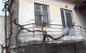 Κρήτη: Έσφαξε τον αδερφό του για ασήμαντη αφορμή – Τραγωδία στο χωριό Βιάννος