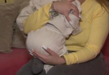 Χαλκίδα: Απίστευτο περιστατικό κακοποίησης παιδιού με εγκεφαλική παράλυση σε κέντρο φυσικοθεραπείας