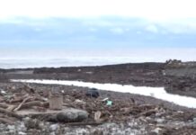 Η κακοκαιρία «βύθισε» τα παράλια της Λάρισας