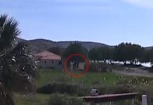 Μυτιλήνη: «Δεν ξέρω, δεν είδα, ήμουν στο χωράφι» – Τι ανέφερε μάρτυρας για τον θάνατο του λιμενικού