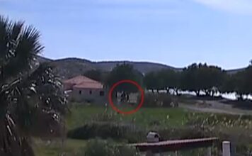 Μυτιλήνη: «Δεν ξέρω, δεν είδα, ήμουν στο χωράφι» – Τι ανέφερε μάρτυρας για τον θάνατο του λιμενικού