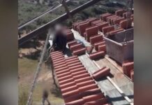 Λακωνία: Μετακίνησαν τη σορό 63χρονου για να μην αποκαλυφθεί εργατικό ατύχημα