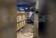 Εξαρθρώθηκε κύκλωμα με λαθραία τσιγάρα – Βίντεο ντοκουμέντο