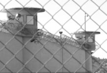 Στη σύλληψη του αρχιφύλακα των φυλακών Δομοκού προχώρησαν οι Αρχές – Έρευνες για τον ηθικό αυτουργό