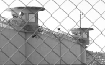 Στη σύλληψη του αρχιφύλακα των φυλακών Δομοκού προχώρησαν οι Αρχές – Έρευνες για τον ηθικό αυτουργό