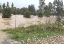 Στο έλεος της κακοκαιρίας πολλές περιοχές της χώρας – Τεράστιες καταστροφές