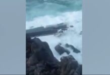 Ελαφόνησος: Συγκλονιστικές εικόνες από διάσωση επιβαινόντων σε θαλαμηγό – Κύμα κακοκαιρίας πλήττει πολλές περιοχές