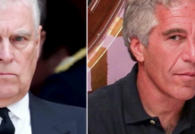 Βρετανία: Συνελήφθη ο έκπτωτος πρίγκιπας Άντριου για σχέση με το σκάνδαλο Έπστιν – Η πρώτη αντίδραση του Παλατιού