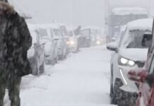 «Δεν θα το ξεχάσω ποτέ» – Η συγκλονιστική μαρτυρία στο MEGA της εγκύου που εγκλωβίστηκε στην Αττική Οδό το 2022 λόγω του χιονιά