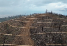 Coca – Cola 3E: Ολοκλήρωση των έργων αποκατάστασης σε Πάτρα-Αχαΐα μόλις δύο μήνες από την έναρξη των εργασιών