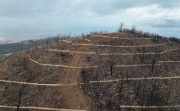 Coca – Cola 3E: Ολοκλήρωση των έργων αποκατάστασης σε Πάτρα-Αχαΐα μόλις δύο μήνες από την έναρξη των εργασιών