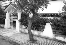 Ελευσίνα: 44χρονη έκανε όπισθεν με το αυτοκίνητο και σκότωσε την 72χρονη μητέρα της