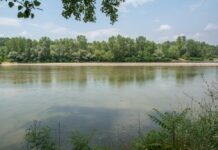 Τραγωδία στον Έβρο: Μετανάστες «έχασαν» τη ζωή τους προσπαθώντας να περάσουν το ποτάμι