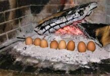 Έθιμα Σαρακοστής