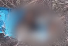 Χαλκιδική: Βρέθηκε ακέφαλη σορός γυναίκας σε σακούλες – Ήταν σε προχωρημένη αποσύνθεση