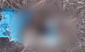 Χαλκιδική: Βρέθηκε ακέφαλη σορός γυναίκας σε σακούλες – Ήταν σε προχωρημένη αποσύνθεση