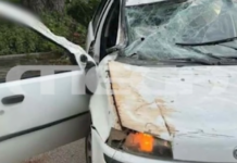 Λούτσα: Τραγικό δυστύχημα με θύμα 15χρονο – Στο νοσοκομείο άλλοι δύο ανήλικοι