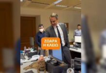 Κυριάκος Μητσοτάκης: Ο πρωθυπουργός συστήνει τη νέα γάτα του Μεγάρου Μαξίμου – «Στο βασίλειο της Κλειώς δεν έχει θέση ο Peanut»