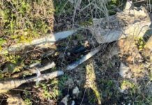 Καταγγελία Κυρανάκη για δολιοφθορά στην τηλεδιοίκηση του σιδηρόδρομου – Άγνωστοι έκοψαν τα καλώδια