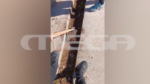 Χαλάνδρι: Καρατομήθηκε η διευθύντρια που έβαζε τους μαθητές να σκάβουν για να τους σβήνει απουσίες