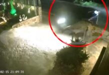 Χανιά: Μεθυσμένος οδηγός «προσγειώθηκε» σε αυλή επιχείρησης