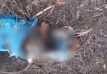 Χαλκιδική: Εντοπίστηκαν ανθρώπινα μέλη μέσα σε σακούλες δίπλα σε βαλίτσα στο Πευκοχώρι