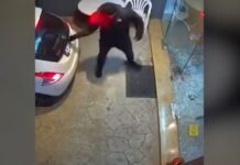 Βάρη: Μπούκαραν με το αμάξι σε κατάστημα για να το ληστέψουν – Βίντεο ντοκουμέντο