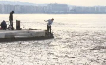 Θεσσαλονίκη: Γέμισε σκουπίδια ο Θερμαϊκός – Προσπάθειες να καθαριστεί από κλαδιά, σκουπίδια και πλαστικά