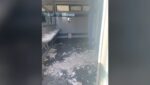 Παλαιό Φάληρο: Μαθητές δημοτικού κινδυνεύσαν από πτώση σοβάδων στις τουαλέτες – Εικόνες ντροπής