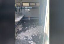 Παλαιό Φάληρο: Μαθητές δημοτικού κινδυνεύσαν από πτώση σοβάδων στις τουαλέτες – Εικόνες ντροπής