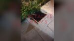 Ηράκλειο: Παρολίγον τραγωδία με κοριτσάκι 4,5 χρόνων – Το «κατάπιε» τρύπα στο δρόμο