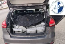 Θεσπρωτία: Χειροπέδες σε άνδρα που μετέφερε με ενοικιαζόμενο αυτοκίνητο 60 κιλά κάνναβης (φωτο)