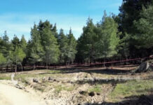 Χαλκιδική: «Φοβάμαι μήπως είναι η κόρη μου το θύμα της βαλίτσας»