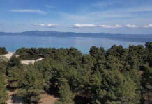 Χαλκιδική: «Λειτουργούσαν πολλά μπαράκια αλλά κανείς δεν φαίνεται να είδε κάτι»