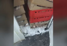 Υγειονομική «βόμβα» 3,5 τόνων επικίνδυνων κρεάτων εντόπισε και κατέσχεσε η Περιφέρεια Αττικής